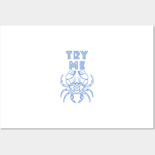 Try me gift t shirt design Posters and Art